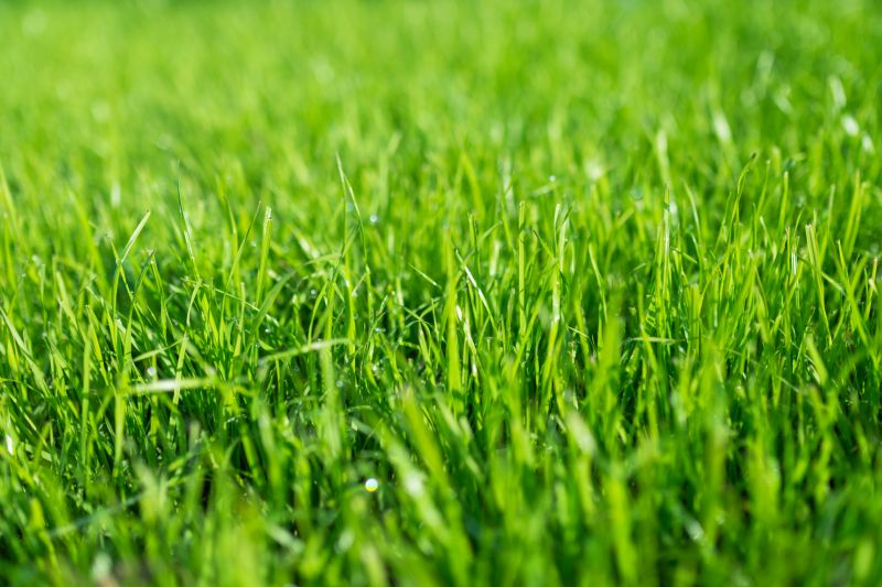 Landscaping and Turf Management