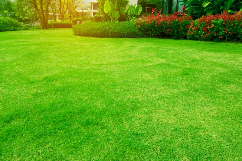 Scheduled Lawn Care Services