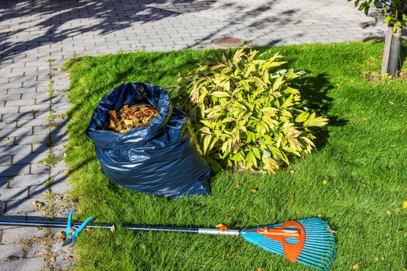 Seasonal Clean-Up