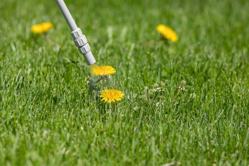 Crabgrass Removal in Honolulu, HI