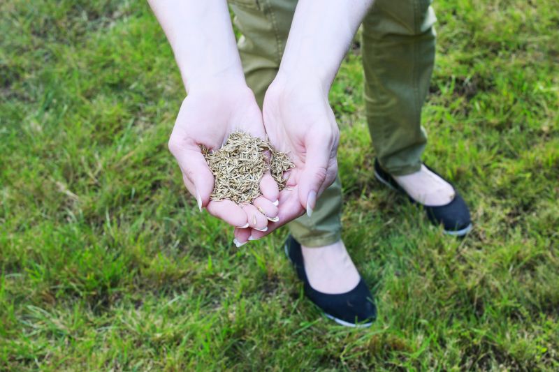 Grass Health Maintenance