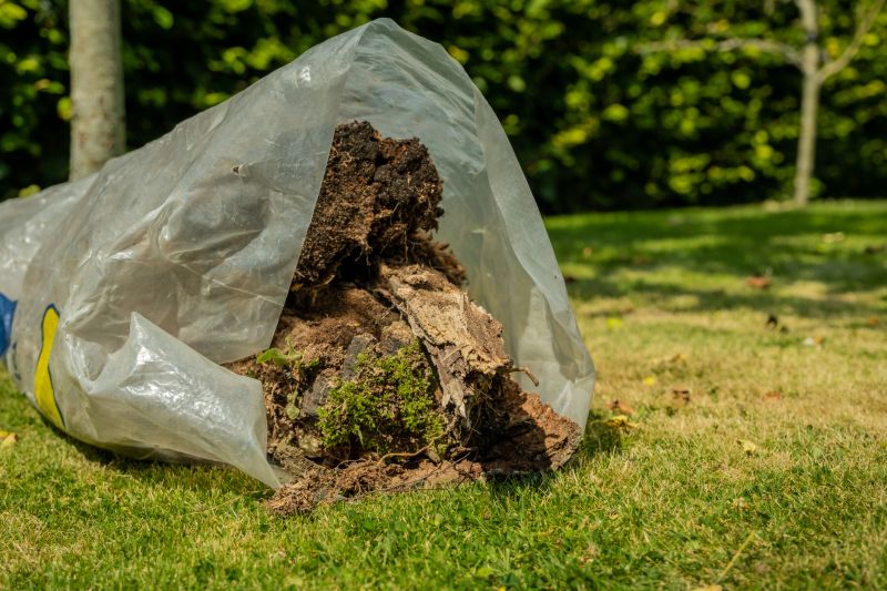Landscaping Cleanup Service in Ventura County, CA