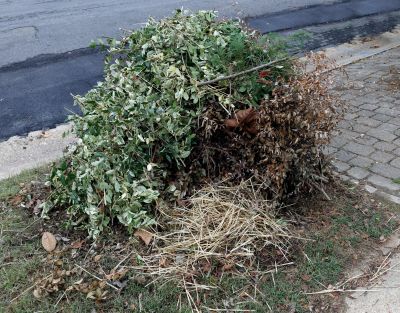 Lawn Waste Removal in Honolulu, HI