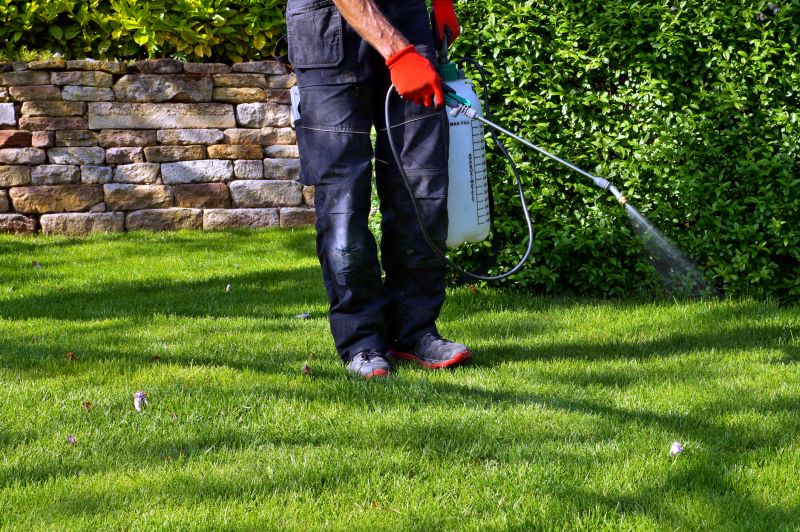 Lawn Weed Control in Honolulu, HI