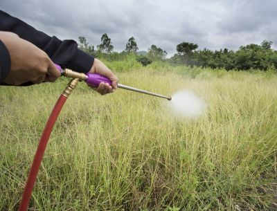 Lawn Weed Spraying in Honolulu, HI