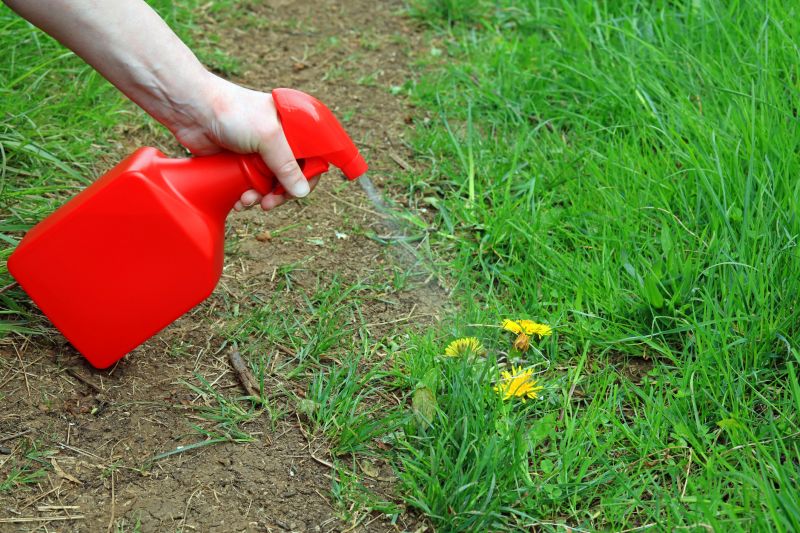 Lawn Weed Spraying in Ventura County, CA