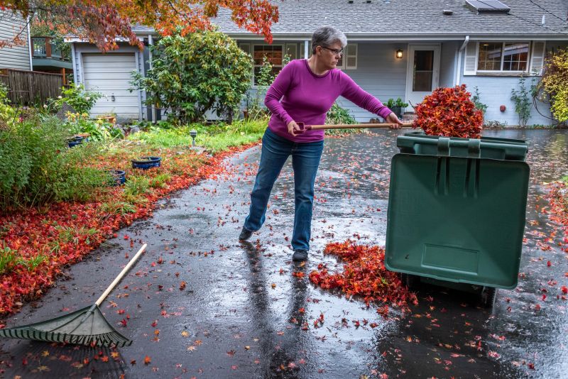 Leaf Cleanup Service in Honolulu, HI