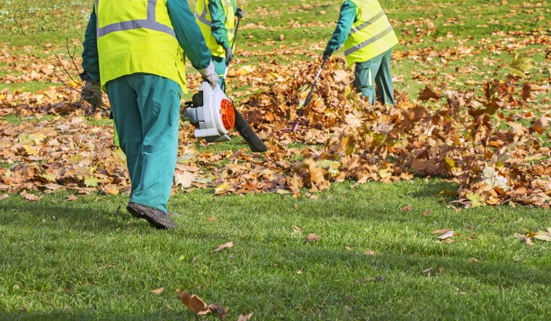 Leaf Cleanup Service in Honolulu, HI