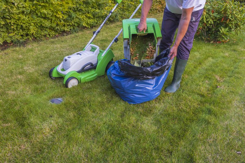 Leaf Removal in Honolulu, HI
