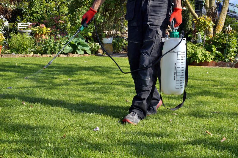 Weed Control Service in Aiken, SC