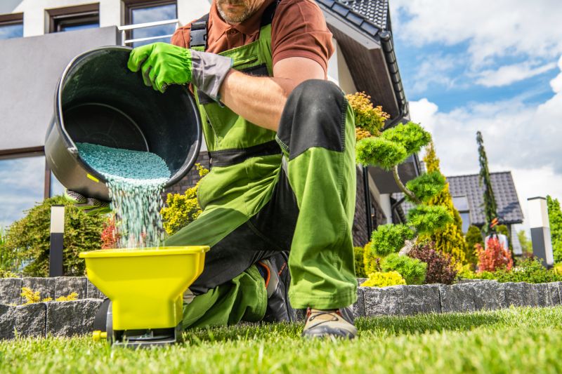 Yard Improvement Service in Ventura County, CA