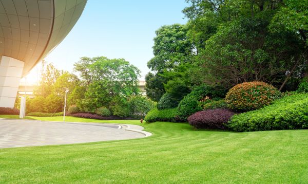 Commercial Lawn Care