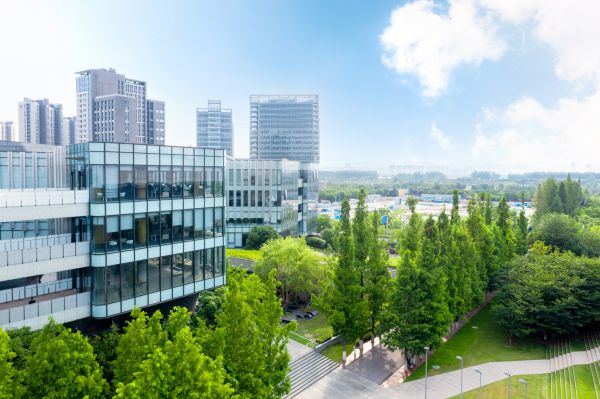 Commercial Grounds Maintenance