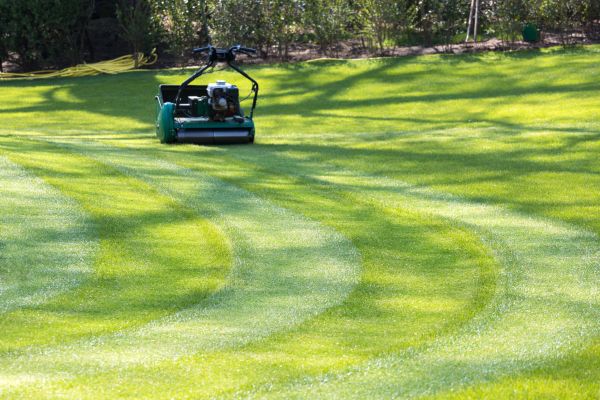 Business Lawn Mowing